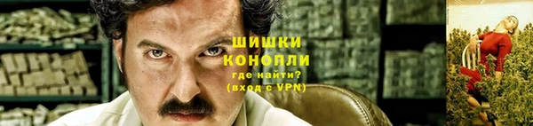 шишки Куйбышев