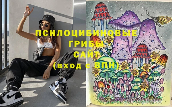 шишки Куйбышев