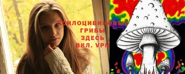стафф Майский