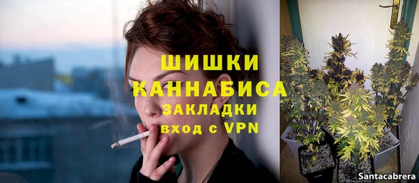 индика Пересвет