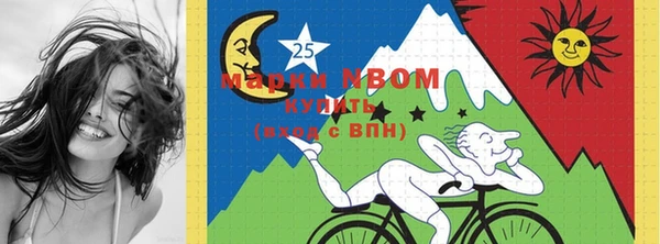 шишки Куйбышев