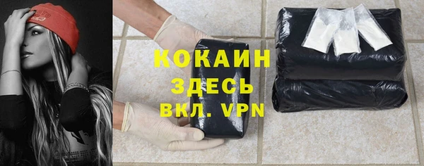 шишки Куйбышев