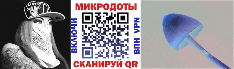 Псилоцибиновые грибы Psilocybe  Томари 